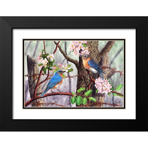 Bluebirds Black Modern Wood Framed Art Print with Double Matting by Dornish, Al