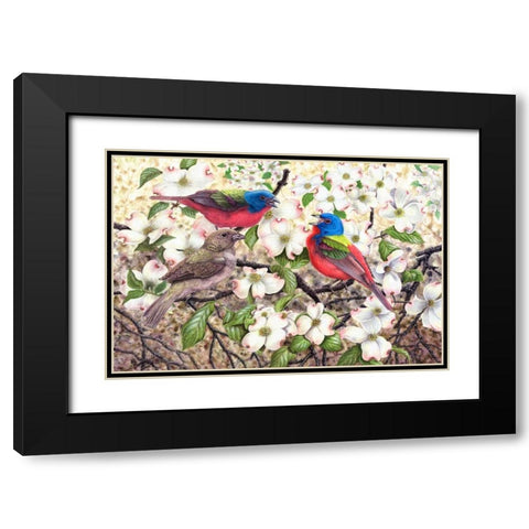 Painted Bunting Black Modern Wood Framed Art Print with Double Matting by Dornish, Al
