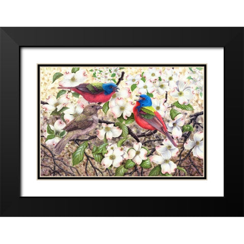 Painted Bunting Black Modern Wood Framed Art Print with Double Matting by Dornish, Al