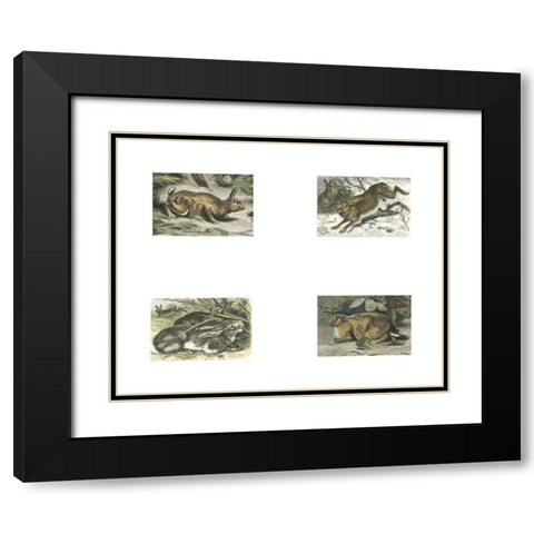 Micro Bunnies Black Modern Wood Framed Art Print with Double Matting by Unknown