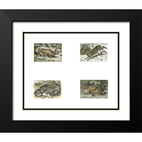 Micro Bunnies Black Modern Wood Framed Art Print with Double Matting by Unknown