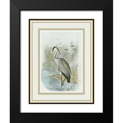 Common Heron Black Modern Wood Framed Art Print with Double Matting by Frohawk