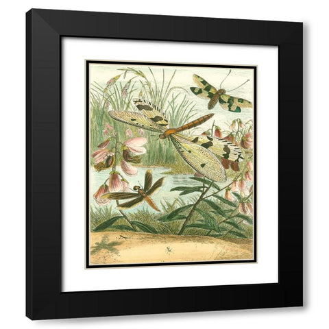 Dragonfly Gathering I Black Modern Wood Framed Art Print with Double Matting by Vision Studio