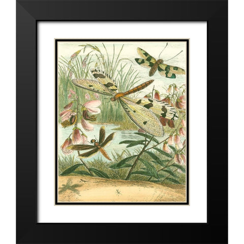 Dragonfly Gathering I Black Modern Wood Framed Art Print with Double Matting by Vision Studio