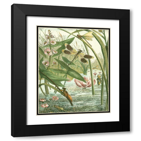 Dragonfly Gathering II Black Modern Wood Framed Art Print with Double Matting by Vision Studio
