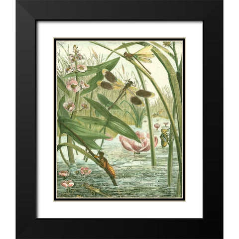 Dragonfly Gathering II Black Modern Wood Framed Art Print with Double Matting by Vision Studio