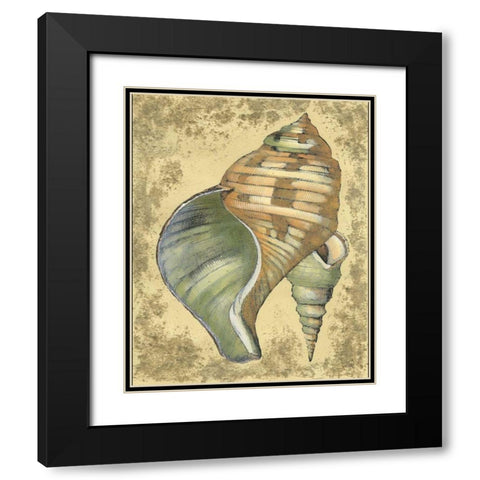 Sand and Shells II Black Modern Wood Framed Art Print with Double Matting by Vision Studio