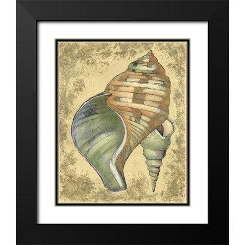 Sand and Shells II Black Modern Wood Framed Art Print with Double Matting by Vision Studio