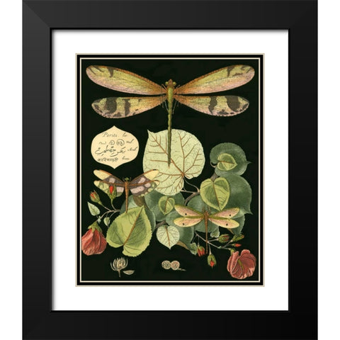 Whimsical Dragonfly on Black II Black Modern Wood Framed Art Print with Double Matting by Vision Studio