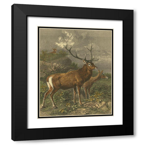 Small Red Deer Black Modern Wood Framed Art Print with Double Matting by Specht, Friedrich