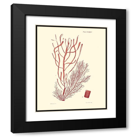 Shades of Coral III Black Modern Wood Framed Art Print with Double Matting by Vision Studio