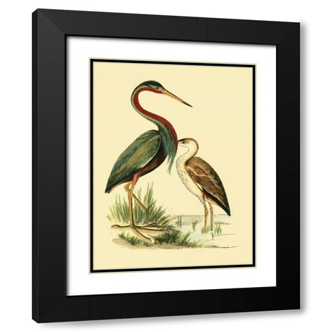 Water Birds III Black Modern Wood Framed Art Print with Double Matting by Vision Studio