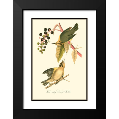 Audubons Warbler Black Modern Wood Framed Art Print with Double Matting by Audubon, John James