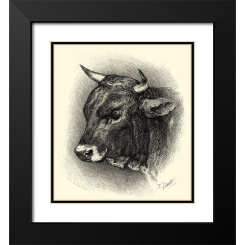 Antique Cattle IV Black Modern Wood Framed Art Print with Double Matting by Lehnert, F.