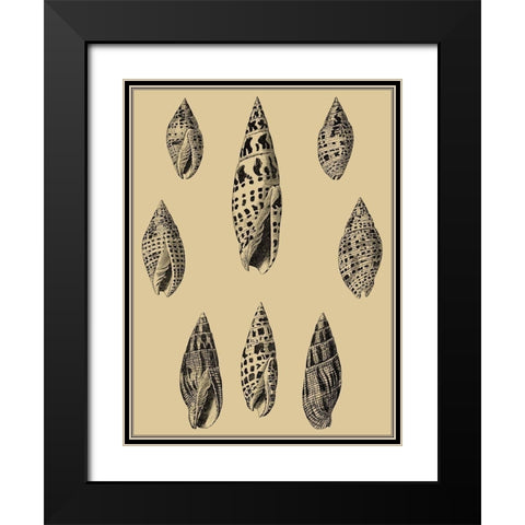 Shells on Khaki IV Black Modern Wood Framed Art Print with Double Matting by Diderot, Denis