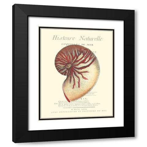 Coquilles De Mer I Black Modern Wood Framed Art Print with Double Matting by Vision Studio