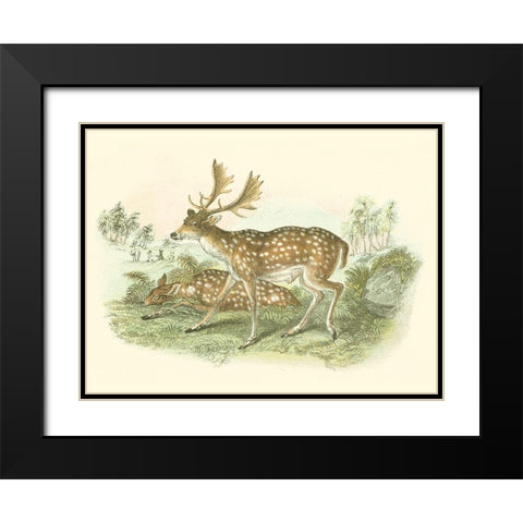 Petite Fallow Deer Black Modern Wood Framed Art Print with Double Matting by Lizars, W.H.