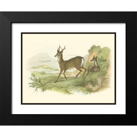 Petite Row Deer Black Modern Wood Framed Art Print with Double Matting by Lizars, W.H.