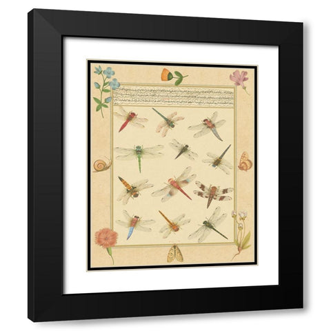 Custom Dragonfly Manuscript I (HI) Black Modern Wood Framed Art Print with Double Matting by Prasad, Jaggu