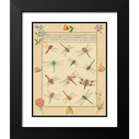 Custom Dragonfly Manuscript I (HI) Black Modern Wood Framed Art Print with Double Matting by Prasad, Jaggu