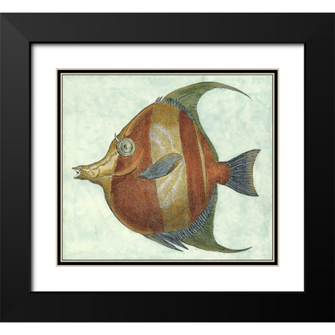 Small Angel Fish II Black Modern Wood Framed Art Print with Double Matting by Vision Studio