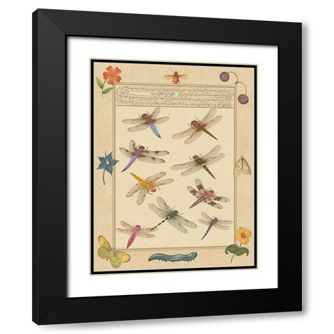 Small Dragonfly Manuscript III (U) Black Modern Wood Framed Art Print with Double Matting by Prasad, Jaggu