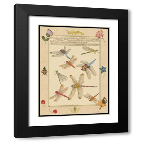 Small Dragonfly Manuscript IV (U) Black Modern Wood Framed Art Print with Double Matting by Prasad, Jaggu