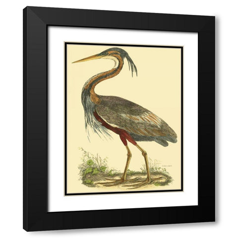 Small Purple Heron Black Modern Wood Framed Art Print with Double Matting by Selby, John