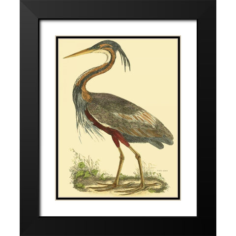 Small Purple Heron Black Modern Wood Framed Art Print with Double Matting by Selby, John