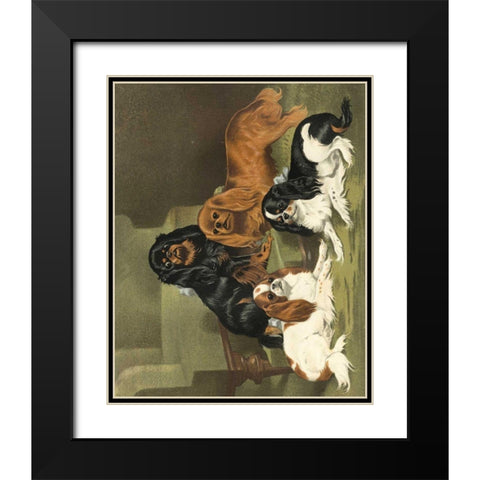 Toy Spaniels Black Modern Wood Framed Art Print with Double Matting by Shaw, Vero
