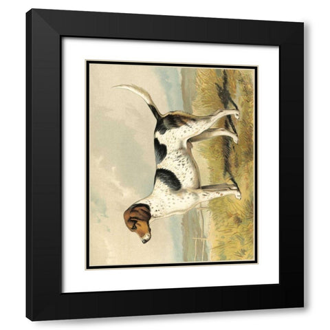 Fox Hound Black Modern Wood Framed Art Print with Double Matting by Shaw, Vero