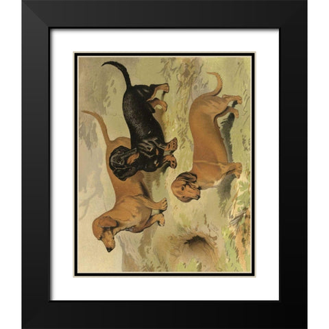 Dachshunds Black Modern Wood Framed Art Print with Double Matting by Shaw, Vero