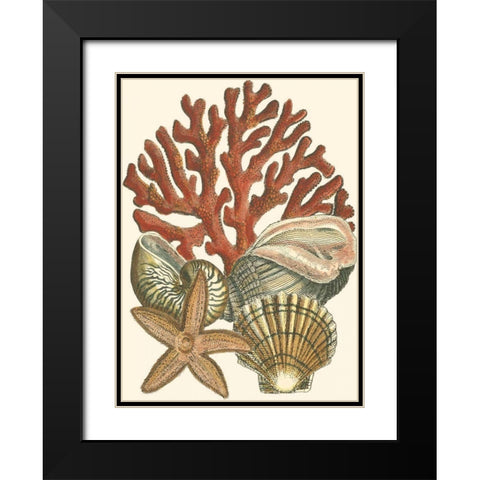 Small Coral Medley I Black Modern Wood Framed Art Print with Double Matting by Vision Studio
