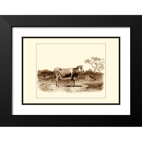 Custom Bovine I (RM) Black Modern Wood Framed Art Print with Double Matting by Van Marck, Emile