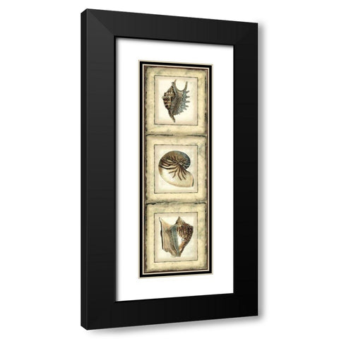 Mini Rustic Shell Panel II Black Modern Wood Framed Art Print with Double Matting by Vision Studio