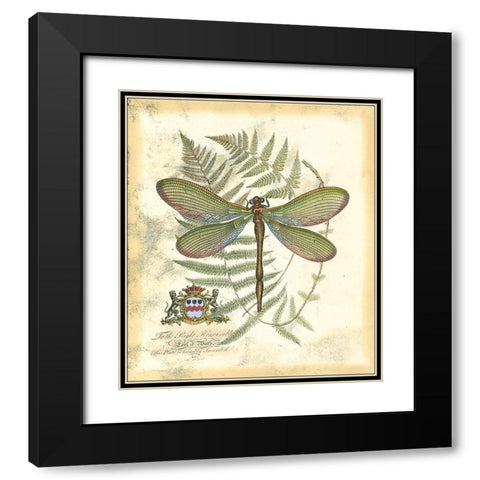 Mini Regal Dragonfly II Black Modern Wood Framed Art Print with Double Matting by Vision Studio