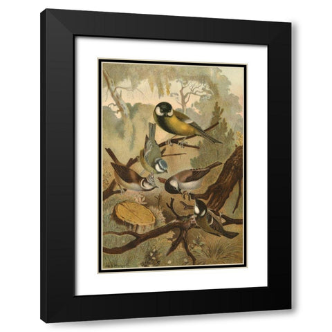 Titmice Black Modern Wood Framed Art Print with Double Matting by unknown