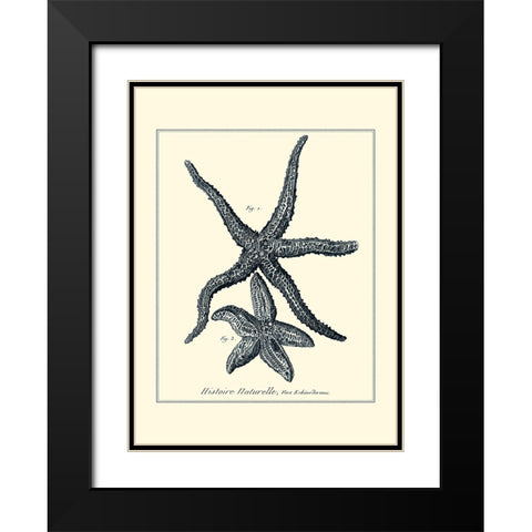 Indigo Starfish I Black Modern Wood Framed Art Print with Double Matting by Diderot, Denis