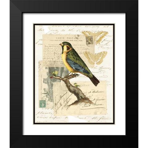 Naturalists Collage III Black Modern Wood Framed Art Print with Double Matting by Vision Studio