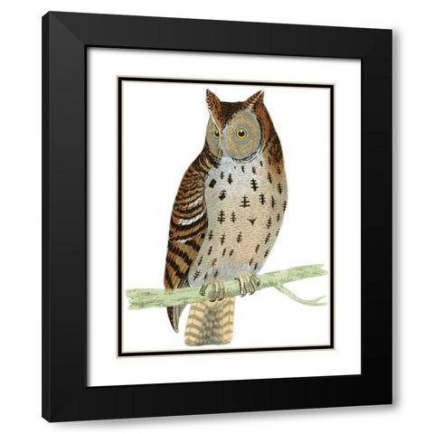 Morris Mottled Owl Black Modern Wood Framed Art Print with Double Matting by Morris