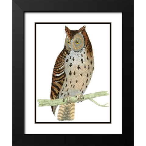 Morris Mottled Owl Black Modern Wood Framed Art Print with Double Matting by Morris