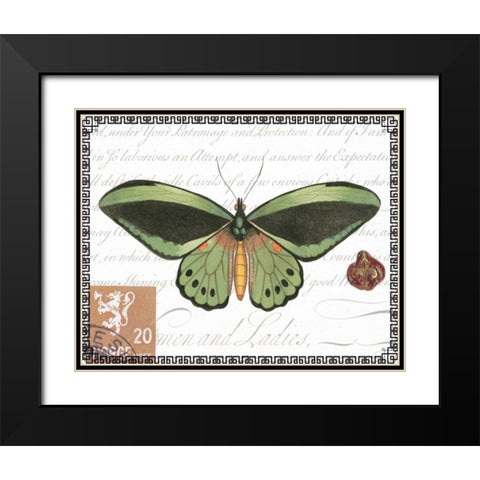 Butterfly Prose II Black Modern Wood Framed Art Print with Double Matting by Vision Studio