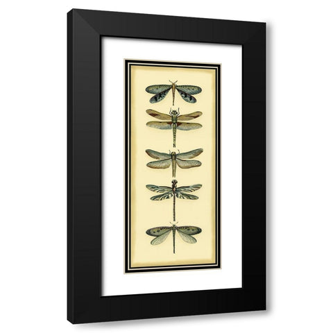 Small Dragonfly Collector I Black Modern Wood Framed Art Print with Double Matting by Zarris, Chariklia