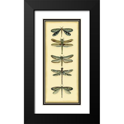 Small Dragonfly Collector I Black Modern Wood Framed Art Print with Double Matting by Zarris, Chariklia