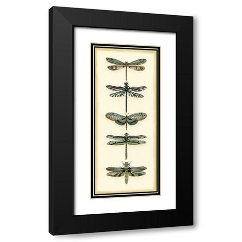 Small Dragonfly Collector II Black Modern Wood Framed Art Print with Double Matting by Zarris, Chariklia