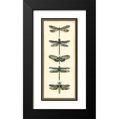 Small Dragonfly Collector II Black Modern Wood Framed Art Print with Double Matting by Zarris, Chariklia