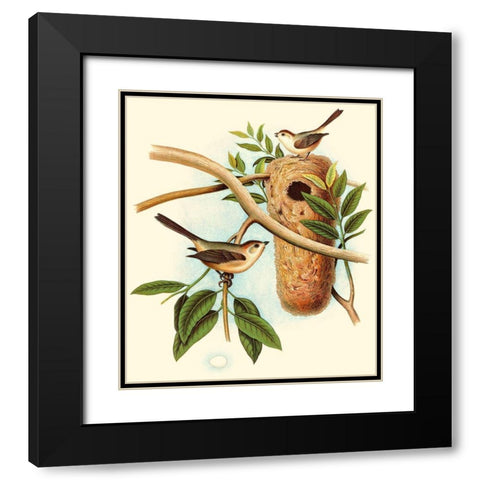 Feathering Nest I Black Modern Wood Framed Art Print with Double Matting by Unknown