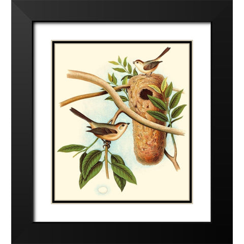 Feathering Nest I Black Modern Wood Framed Art Print with Double Matting by Unknown