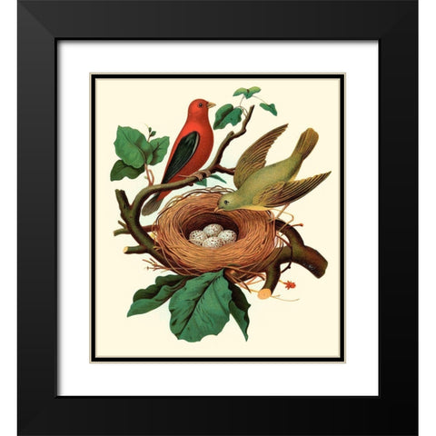 Feathering Nest II Black Modern Wood Framed Art Print with Double Matting by Unknown