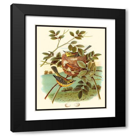 Feathering Nest IV Black Modern Wood Framed Art Print with Double Matting by Unknown